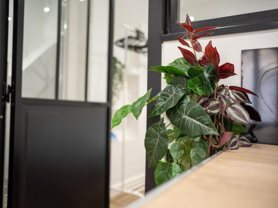 Appartement Tout Equipe Au Coeur Du Panier Vieux Port Марсель Екстер'єр фото